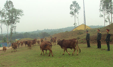 Cải thiện đời sống bộ đội được 2.200 đồng/người/ngày