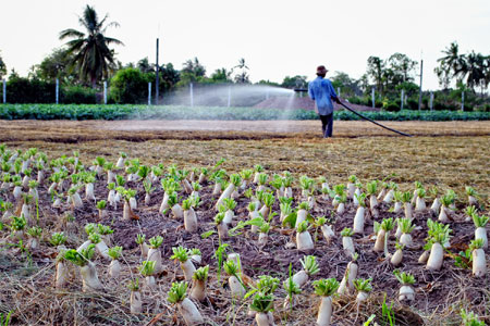 Cần xử lý đúng mức cán bộ sai phạm