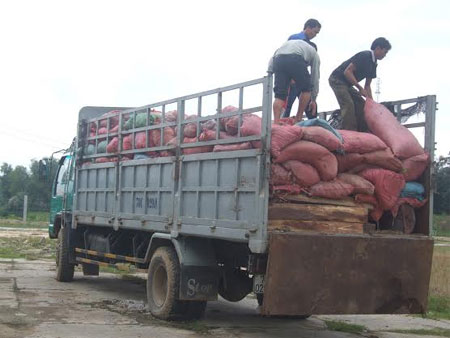 Thu giữ hơn 6m3 gỗ hương 