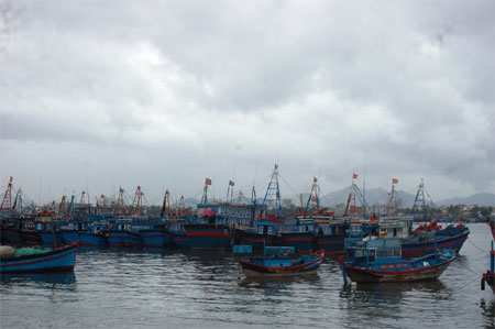 Dầm mình trong mưa giúp dân