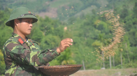 Bài 2: Gieo mầm sống trên “đất chết” (tiếp theo và hết)