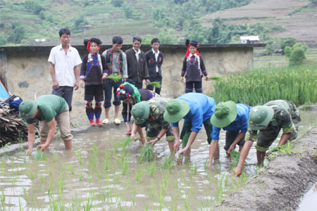 Những người bám bản
