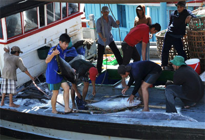 Vững tin vươn khơi bám biển