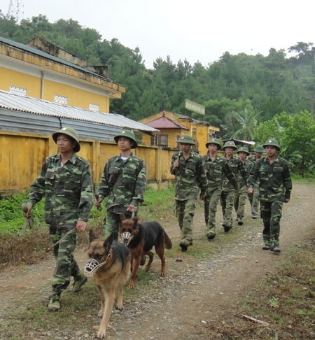 Kỳ 2: Làm “nguội” điểm “nóng” ma túy vùng biên (tiếp theo và hết)