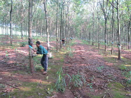 Kỳ 2: Giúp dân làm giàu (tiếp theo và hết)