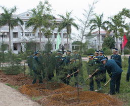 Toàn quân trồng khoảng 2 triệu cây xanh