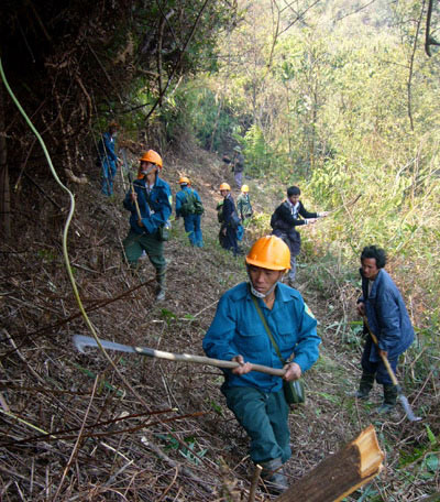 Trách nhiệm của lực lượng dân quân tự vệ ở cơ sở thực hiện nhiệm vụ bảo vệ rừng