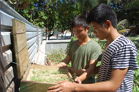 Đảo xa nâng niu từng mầm xanh