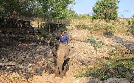 Thương dòng Sê-rê-pốk khô cạn (!)