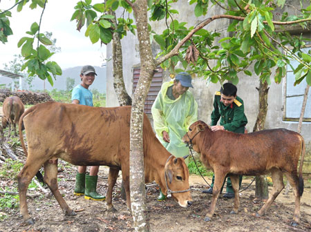 Đội quân xóa đói, giảm nghèo