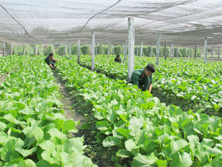 Sư đoàn 5 (Quân khu 7):  “Thực túc