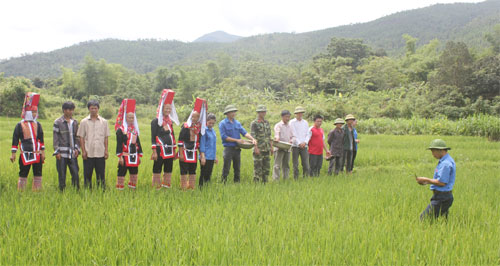 Ba đội trưởng bám bản ở Nà Sa