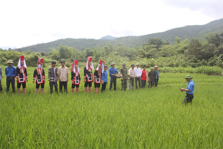 Đoàn Kinh tế-Quốc phòng 327 vững vàng trên vùng biên Đông Bắc