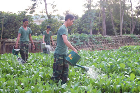 Rau xanh đã đủ, thịt cá có thừa