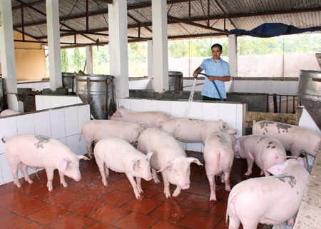 Trường Trung cấp Kỹ thuật Công binh: Tiết kiệm trong công tác hậu cần được gần 3,5 tỷ đồng