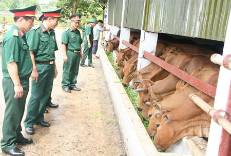Kho 802: Tự túc 100% lương thực, thực phẩm