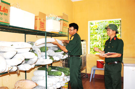 Rau xanh trên vùng cát trắng