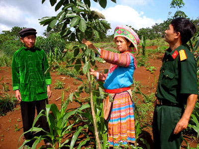 Mưa phía cuối đại ngàn (Kỳ 1)