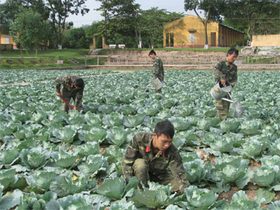 Chuyện tăng gia ở  “thung lũng gió”