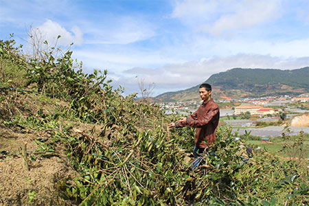 Lâm Đồng: Một doanh nghiệp ngang nhiên phá hoại tài sản của dân