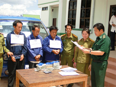 Truy tìm tận hang ổ