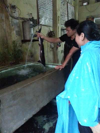 Cần ngăn chặn từ gốc!