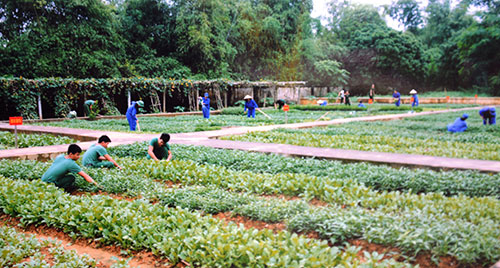 Kho J106, Cục Xe máy (Tổng cục Kỹ thuật): Thực hiện “3 khâu đột phá” và “4 tốt”