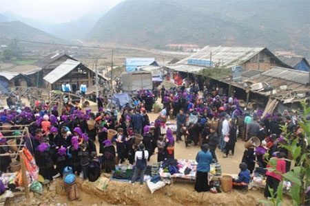 Xuân về trên bản Pho Sin Chải 