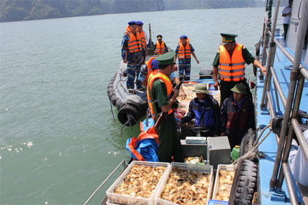 Tiến hành nhiều biện pháp đồng bộ để ngăn chặn và đẩy lùi buôn lậu, gian lận thương mại