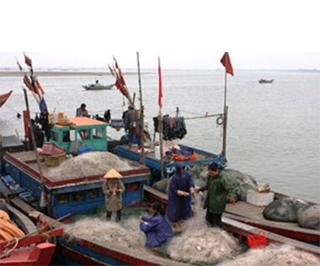 Ngư dân Bình Định vững vàng bám biển trước mọi thử thách