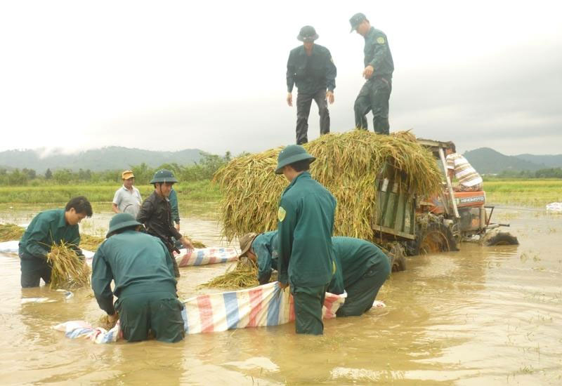 Nông thôn mới trên vùng  đất khó