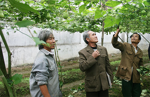 Bài 4: Sức mạnh từ sự đoàn kết, đồng thuận