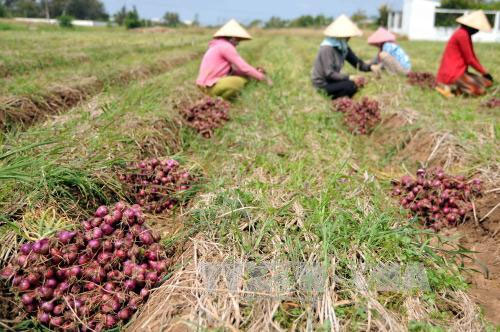 Cần cả “nội công”, “ngoại kích”