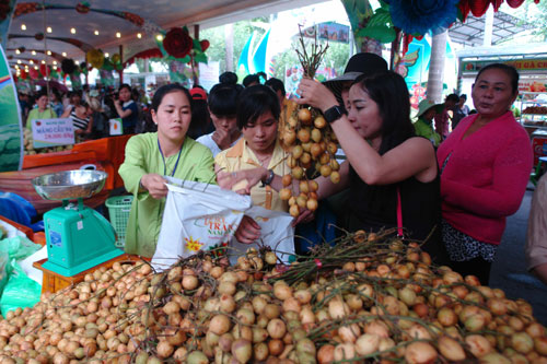 Khai mạc Lễ hội trái cây Nam bộ lần 11, năm 2015