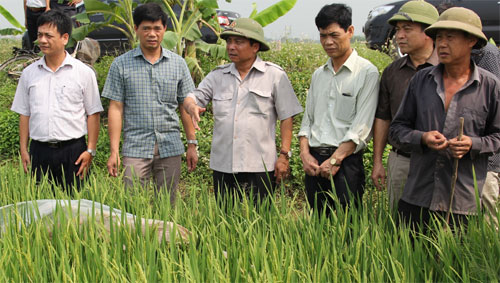 Kinh nghiệm xây dựng đội ngũ cán bộ ở tỉnh Hưng Yên