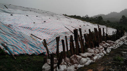 Kịp thời cứu đập Vòng Tre