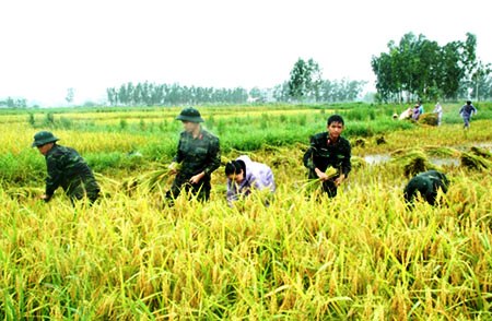 Hơn 8.000 lượt cán bộ, đoàn viên tham gia phòng, chống bão lụt, TKCN