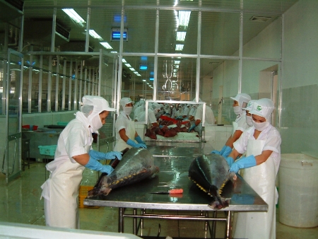 Vượt khó để hoàn thành chỉ tiêu