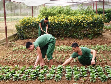 Môi trường văn hóa  lôi cuốn bộ đội