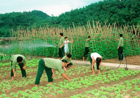 Suối cạn thành... vườn rau