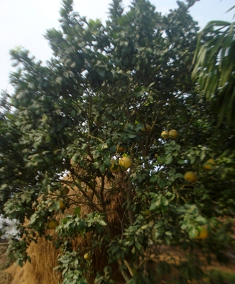 Chủ trương đúng, nhưng cần giải quyết hợp tình, hợp lý