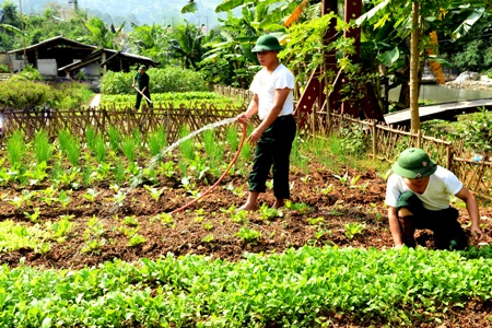 Thanh niên tình nguyện lên vùng cao