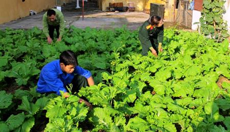 Bữa ăn vui ở cơ quan quân sự huyện