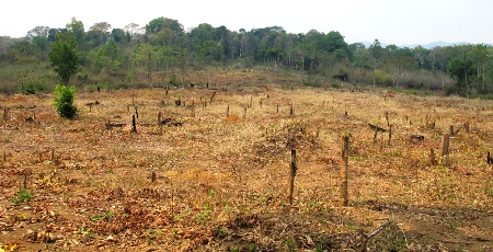 Lãng phí và những tác động xấu đến môi trường