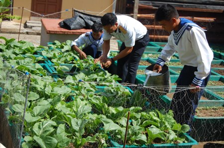 Bộ đội Trường Sa tăng gia sản xuất