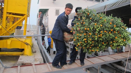 Đưa Xuân đến với Bạch Long Vĩ