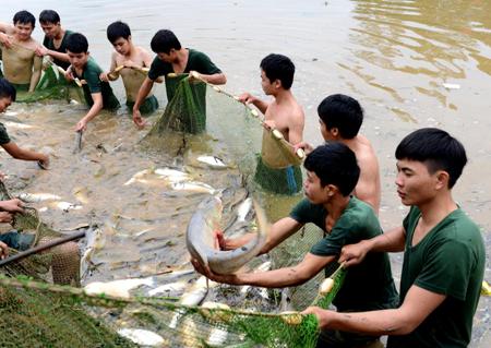 Tết thêm đầm ấm, đủ đầy…