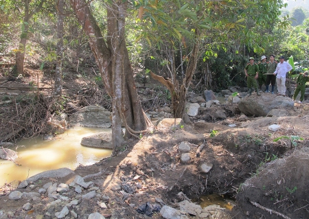 Tan nát vì… sa-phia