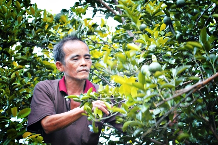 Tiền mất tật mang vì 