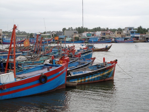 Triển khai Nghị định 67 về phát triển bền vững ngành thủy sản: Nguồn vốn cho vay đã sẵn sàng